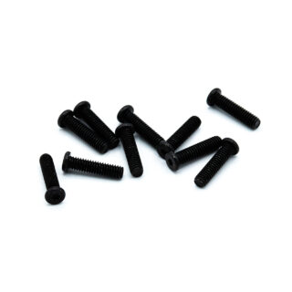 Sennheiser cheese head screw M2,5x10 TORXT5